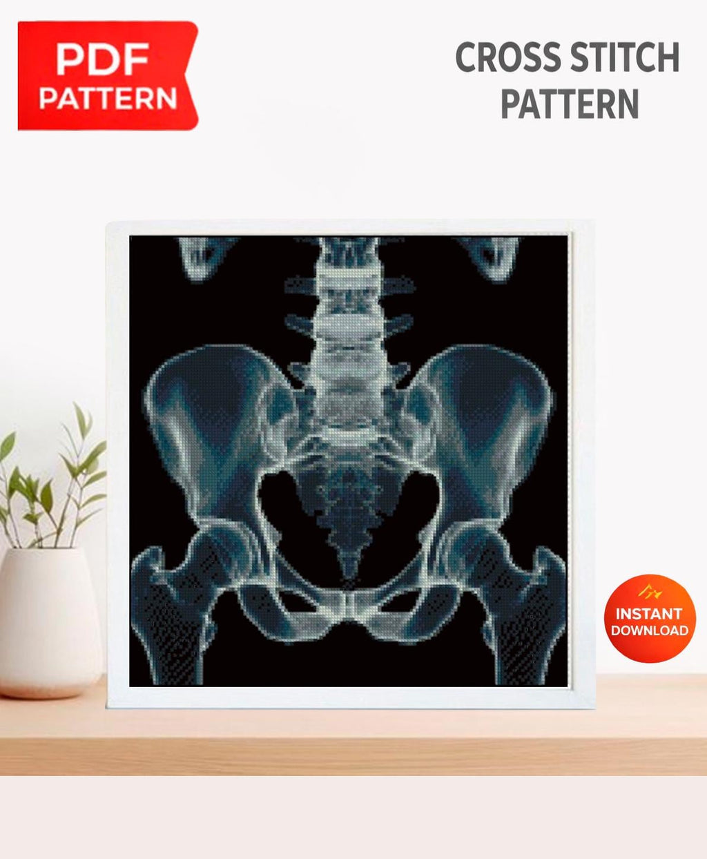 Pelvis X Ray Cross Stitch Pattern PDF, Human Hip Bone Anatomy Embroidery Design, Medical Skeleton Wall Art Download, Pattern Keeper - NuttyHappyHobby