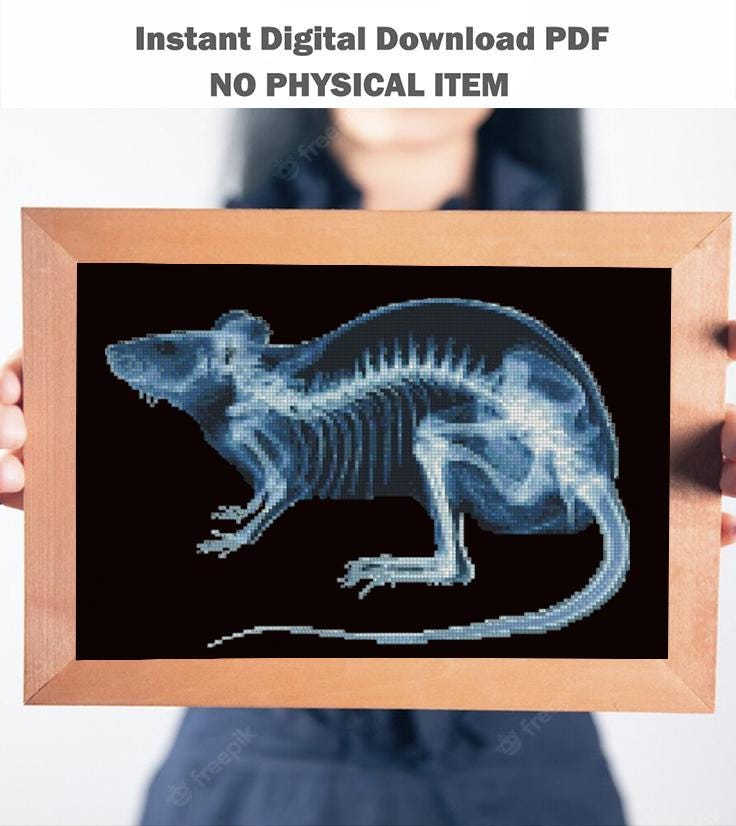 Rat X - Ray Cross Stitch Pattern PDF, Anatomical Rodent Skeleton Embroidery Chart, Radiology Style Animal Anatomy Art, Veterinary Gift - NuttyHappyHobby