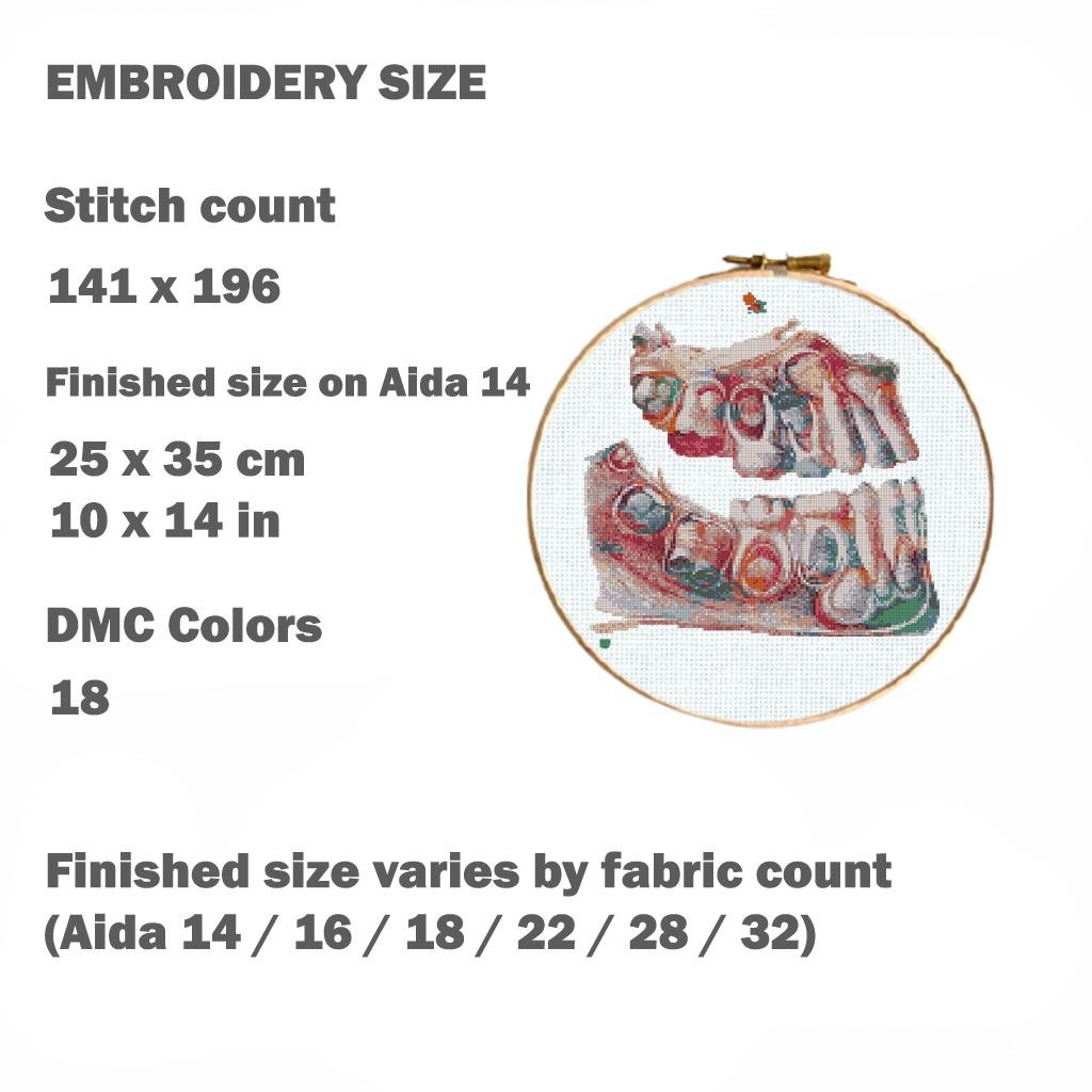 Teeth Anatomy Cross Stitch Pattern PDF, Dental Embroidery Chart, Human Jaw Medical Art, Dentist Gift, Gothic Anatomy Needlepoint, Download - NuttyHappyHobby