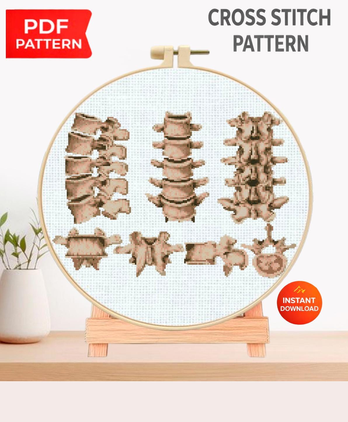 Vertebrae Anatomy Cross Stitch Pattern PDF, Vintage Spine Illustration Embroidery Chart, Human Vertebral Column Medical Art, Doctor Gift - NuttyHappyHobby