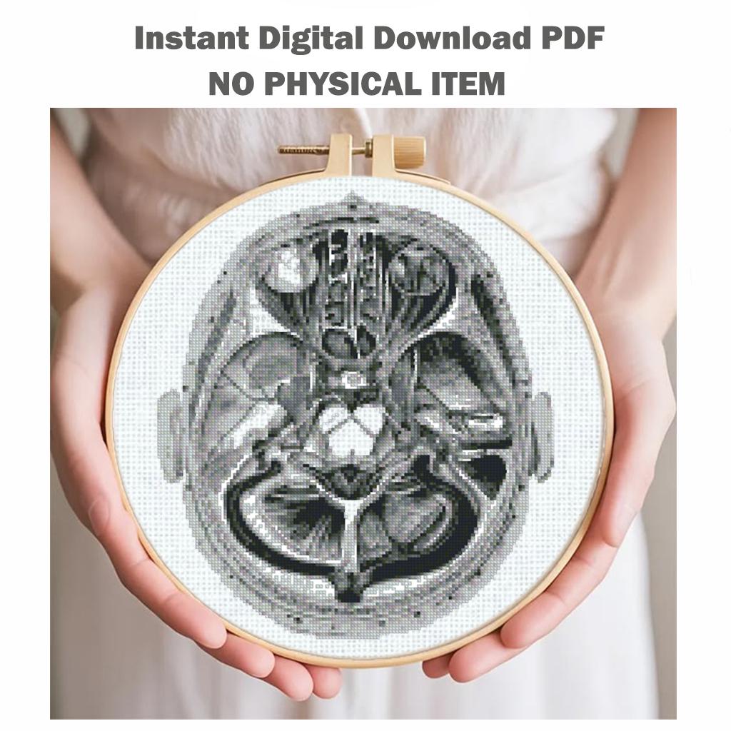 Vintage Brain Anatomy Cross Stitch Pattern PDF, Medical Illustration Embroidery Design, Neuroscience Wall Art, Instant Download - NuttyHappyHobby