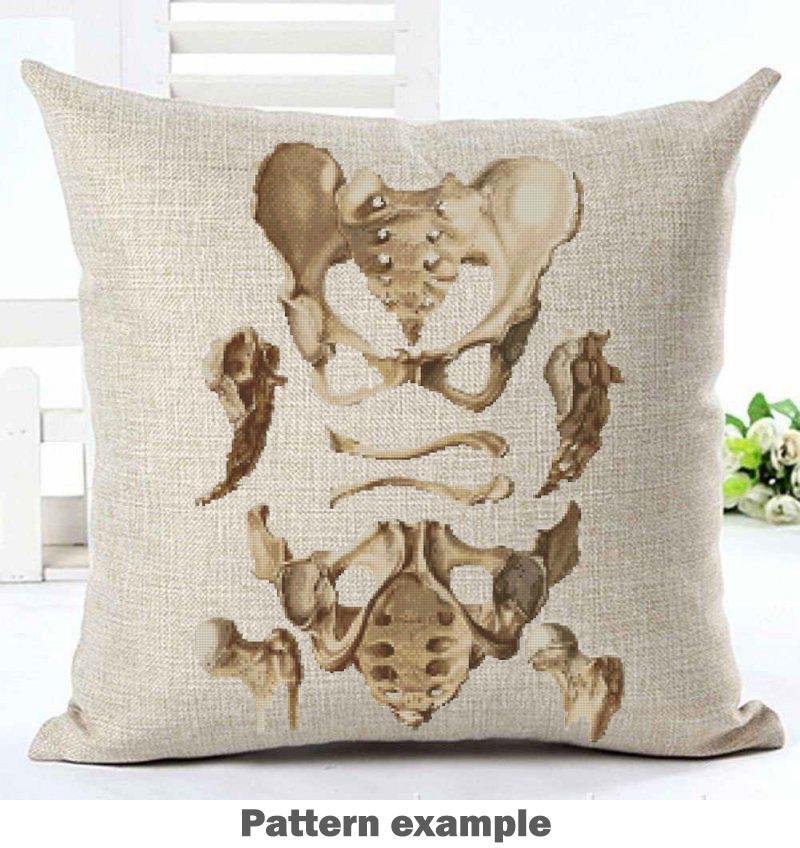 Vintage Pelvis Anatomy Cross Stitch Pattern PDF, Human Hip Bone Embroidery Chart, Antique Medical Illustration Art, Orthopedic Gift, Instant - NuttyHappyHobby