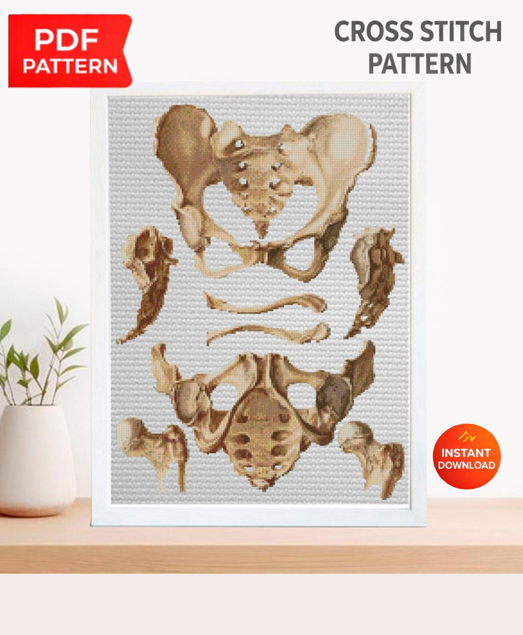 Vintage Pelvis Anatomy Cross Stitch Pattern PDF, Human Hip Bone Embroidery Chart, Antique Medical Illustration Art, Orthopedic Gift, Instant - NuttyHappyHobby