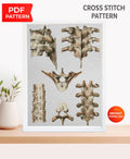 Vintage Vertebrae Cross Stitch Pattern PDF, Human Spine Anatomy Embroidery Chart, Antique Medical Illustration Art, Orthopedic Gift, Instant - NuttyHappyHobby