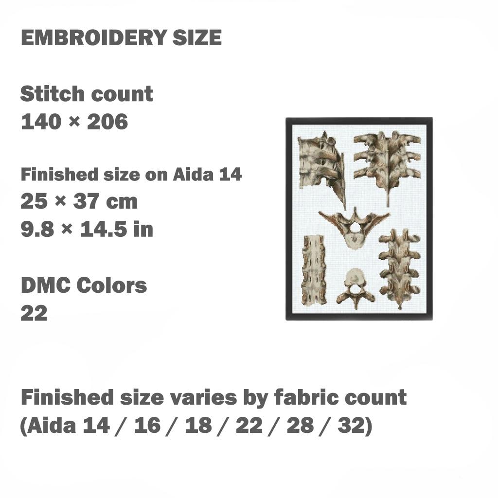 Vintage Vertebrae Cross Stitch Pattern PDF, Human Spine Anatomy Embroidery Chart, Antique Medical Illustration Art, Orthopedic Gift, Instant - NuttyHappyHobby
