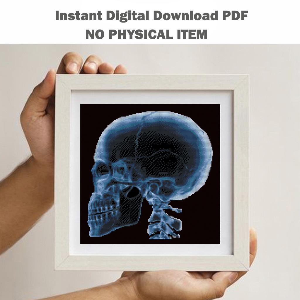 X - Ray Anatomy Cross Stitch Pattern Bundle PDF, Skull and Heart Embroidery Charts, Radiology Style Medical Art Set, Instant Download - NuttyHappyHobby