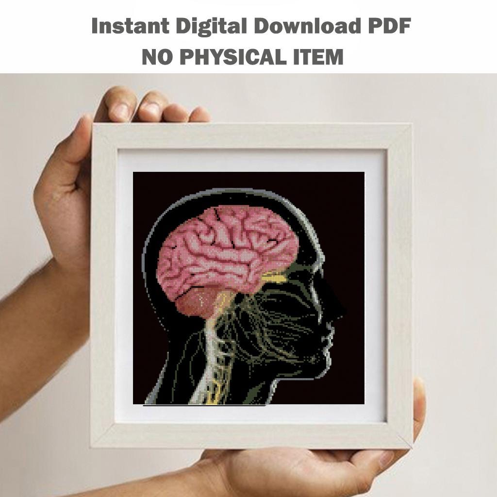 X - Ray Brain and Lungs Cross Stitch Pattern Bundle PDF, Anatomical Embroidery Charts, Radiology Style Medical Art Set, Instant Download - NuttyHappyHobby