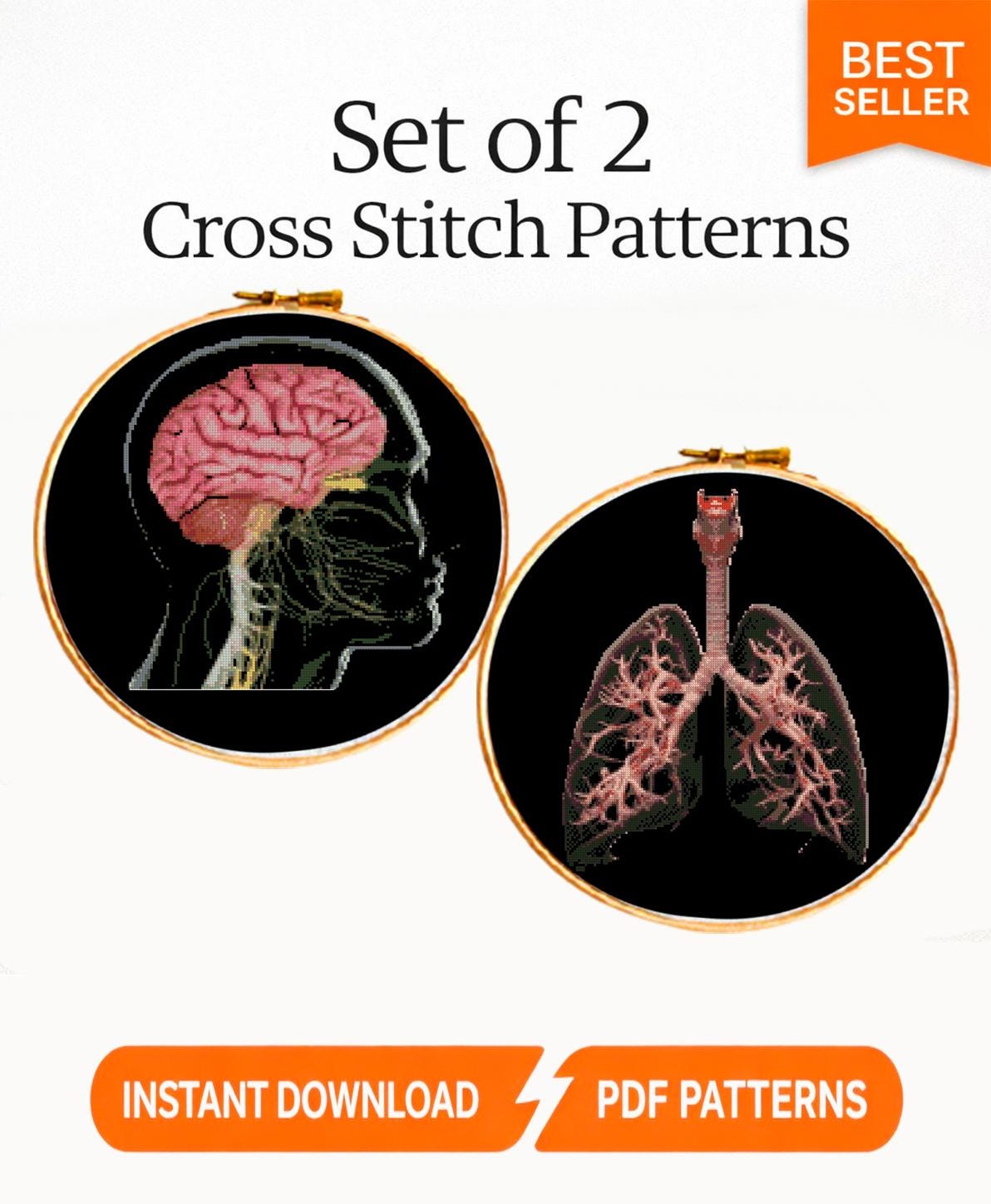 X - Ray Brain and Lungs Cross Stitch Pattern Bundle PDF, Anatomical Embroidery Charts, Radiology Style Medical Art Set, Instant Download - NuttyHappyHobby