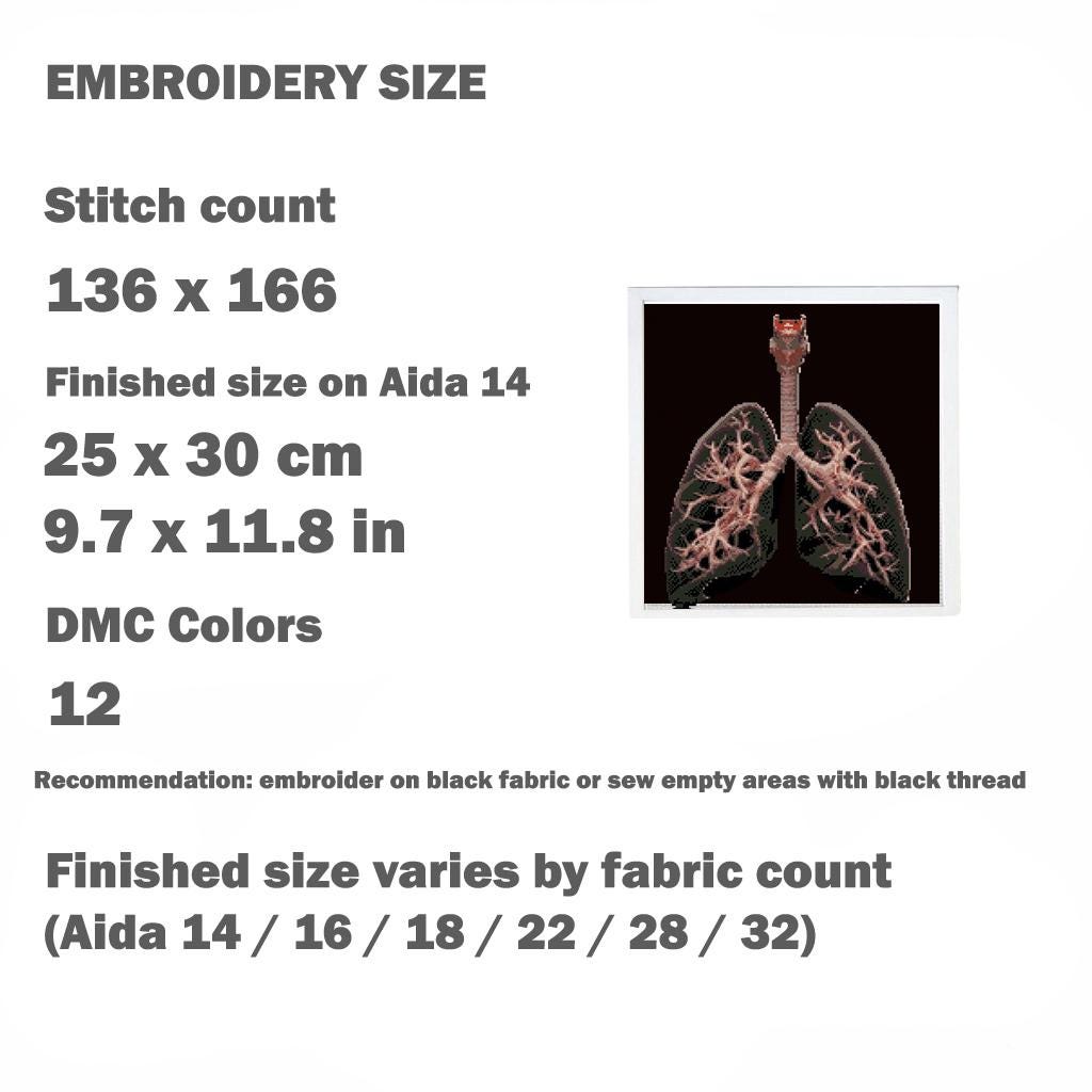 X - Ray Brain and Lungs Cross Stitch Pattern Bundle PDF, Anatomical Embroidery Charts, Radiology Style Medical Art Set, Instant Download - NuttyHappyHobby