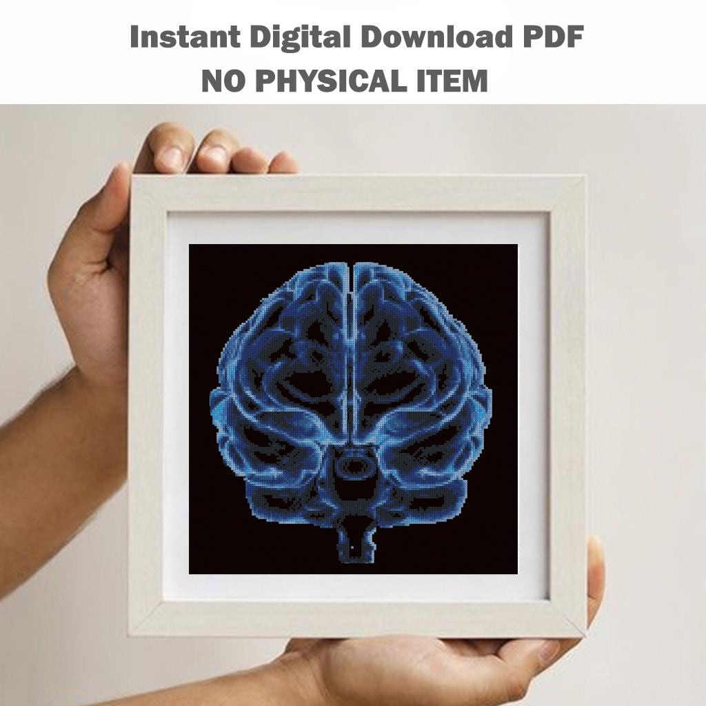 X Ray Brain Cross Stitch Pattern PDF, Radiology Anatomy Embroidery Design, Neuroscience Medical Wall Art Download - NuttyHappyHobby