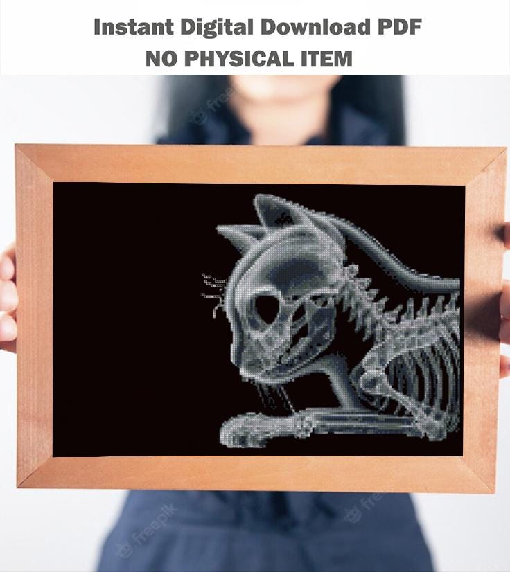 X - Ray Cat Cross Stitch Pattern PDF, Anatomical Kitten Skeleton Embroidery Chart, Veterinary Art, Gothic Animal Needlepoint, Instant Download - NuttyHappyHobby