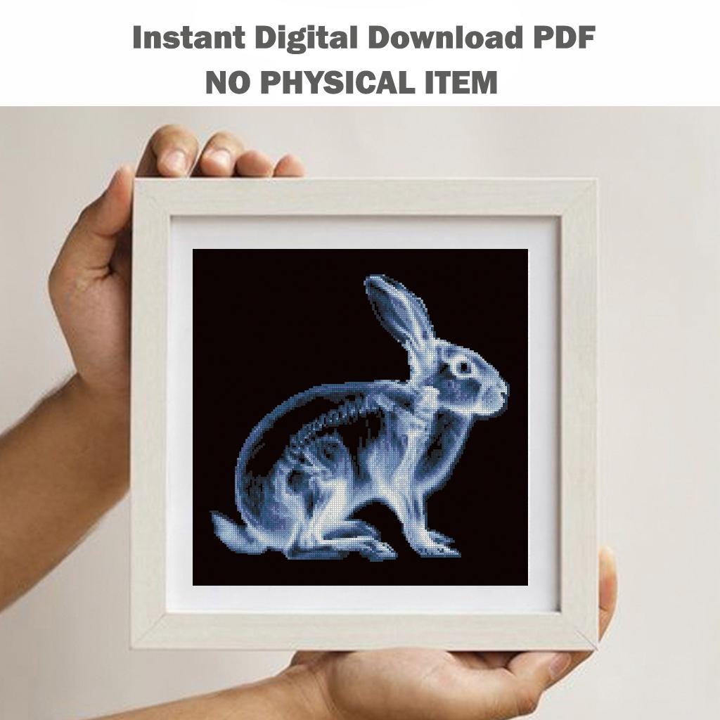 X - Ray Rabbit Cross Stitch Pattern PDF, Anatomical Bunny Skeleton Embroidery Chart, Veterinary Art, Dark Biology Needlepoint, Download - NuttyHappyHobby